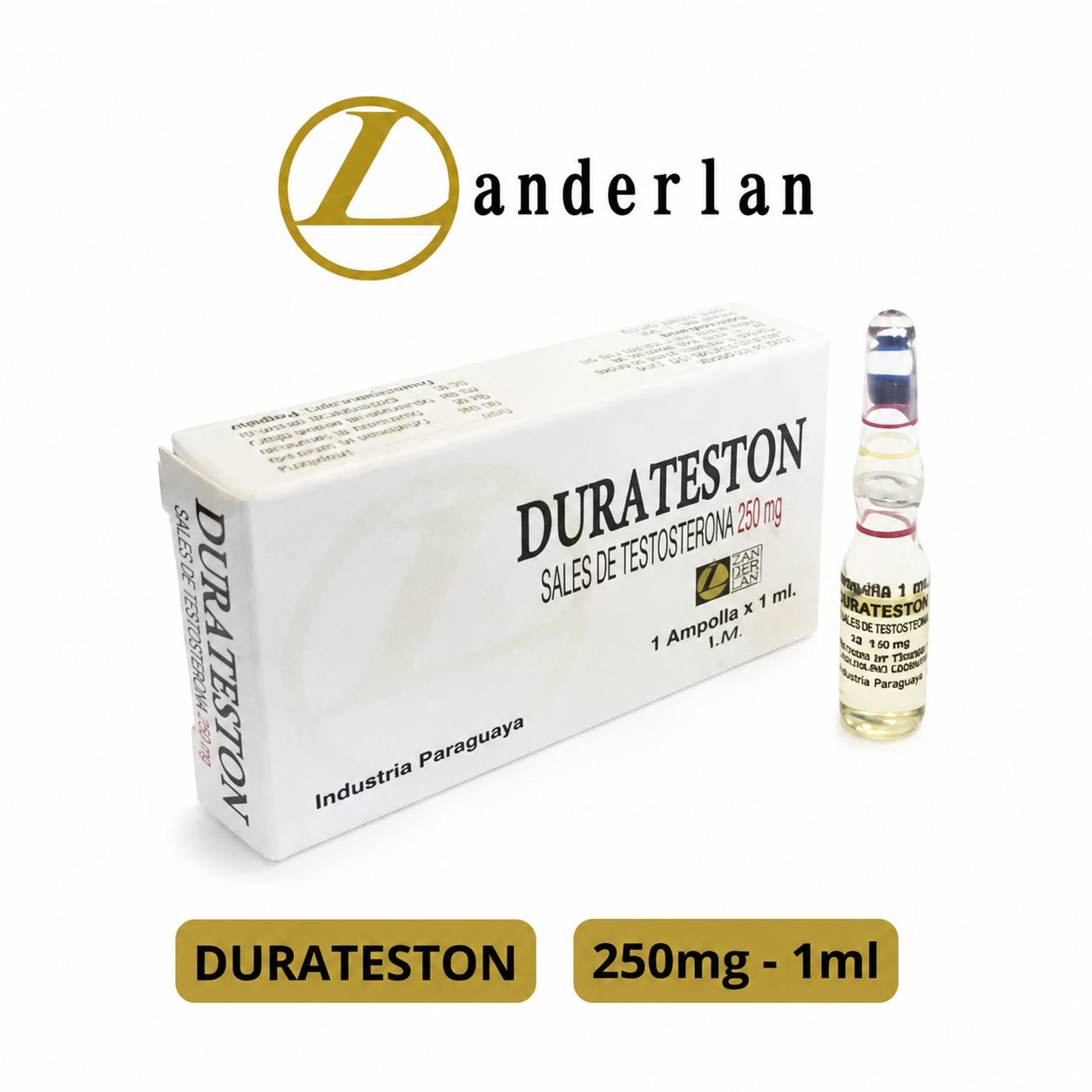 Landerlan Durateston 250MG 1ML