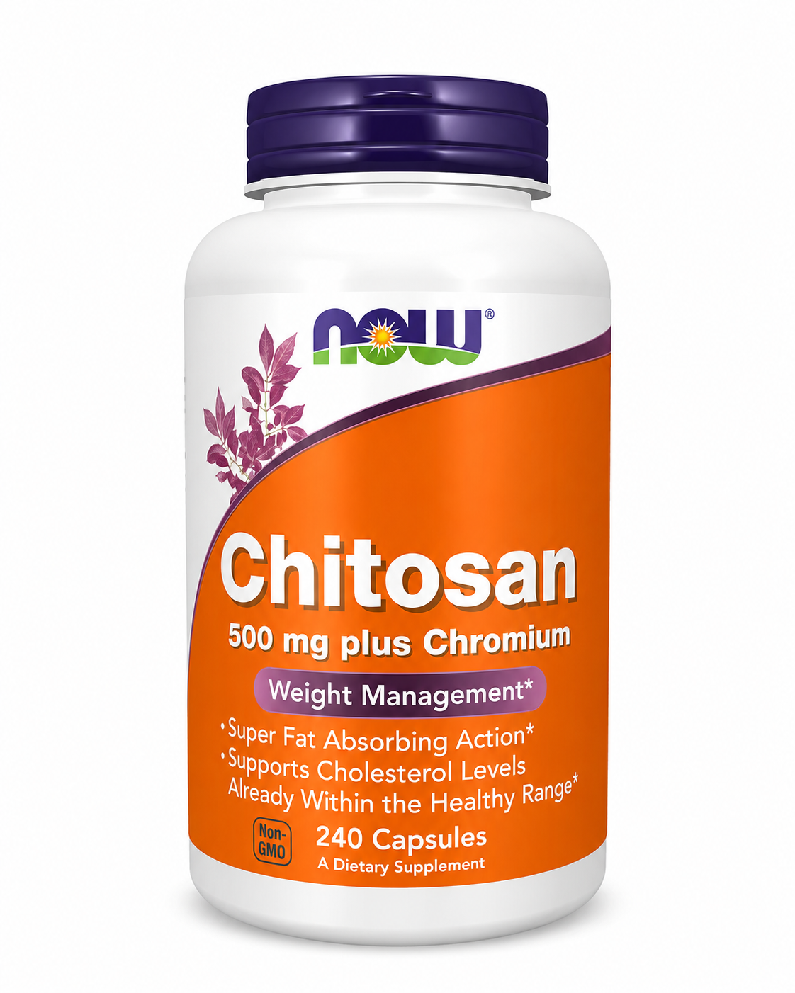 NOW Chitosan 500MG 240CAPS