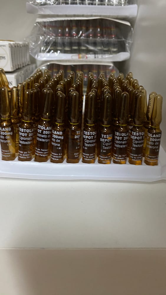 Landerlan Testoland Depot 200MG 3X2ML
